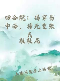 四合院：揭穿易中海，撞死贾张氏