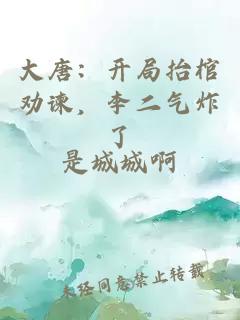 大唐：开局抬棺劝谏，李二气炸了