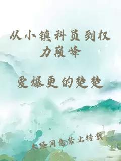 从小镇科员到权力巅峰