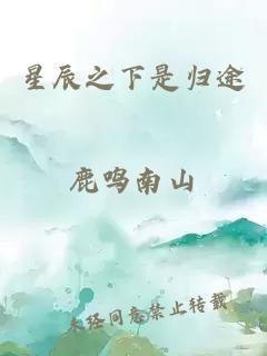 星辰之下是归途