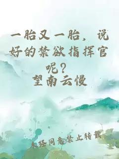 一胎又一胎，说好的禁欲指挥官呢？