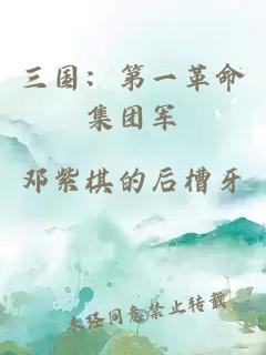 三国：第一革命集团军