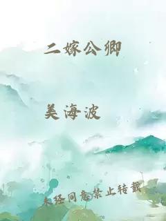 二嫁公卿
