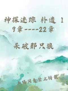 神探迷踪 补遗 19章----22章