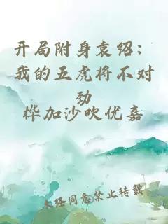 开局附身袁绍：我的五虎将不对劲