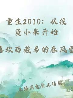 重生2010：从投资小米开始