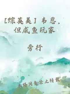 [综英美] 韦恩，但咸鱼玩家