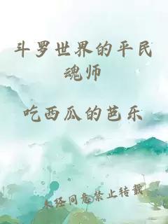 斗罗世界的平民魂师