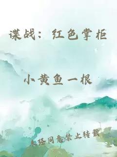 谍战：红色掌柜