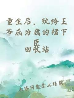 重生后，纨绔王爷成为我的裙下臣