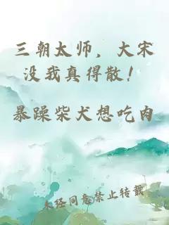 三朝太师，大宋没我真得散！