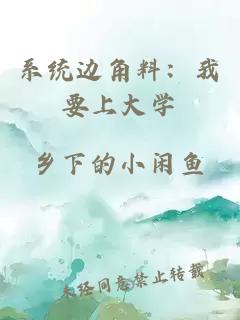 系统边角料：我要上大学
