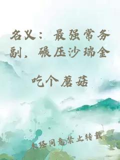 名义：最强常务副，碾压沙瑞金