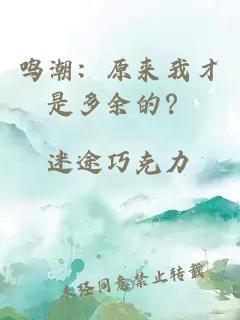 鸣潮：原来我才是多余的？