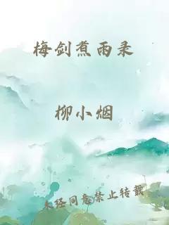 梅剑煮雨录