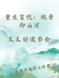 重生宣统：铁骨御山河