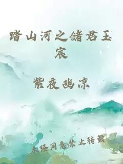 踏山河之储君玉宸