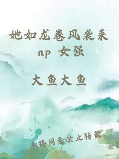 她如龙卷风袭来 np 女强