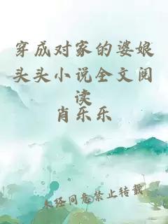 穿成对家的婆娘头头小说全文阅读